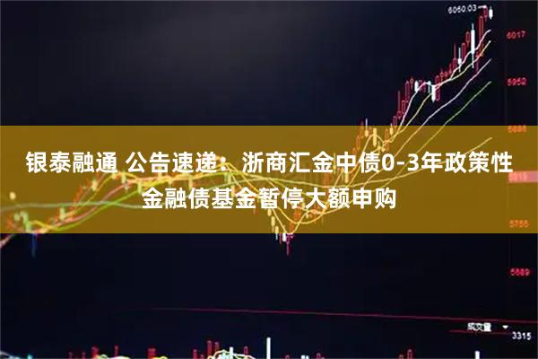 银泰融通 公告速递：浙商汇金中债0-3年政策性金融债基金暂停大额申购