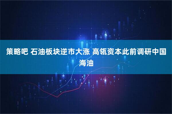 策略吧 石油板块逆市大涨 高瓴资本此前调研中国海油